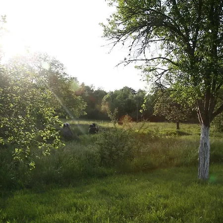 Daire Domaine La Bonne Dame - Hirondelle, Au Coeur Des Vosges *