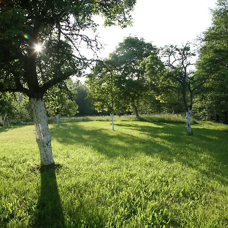 Domaine La Bonne Dame - Hirondelle, Au Coeur Des Vosges 普兰凡