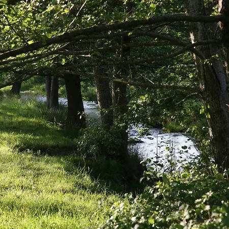 Domaine La Bonne Dame - Hirondelle, Au Coeur Des Vosges Plainfaing
