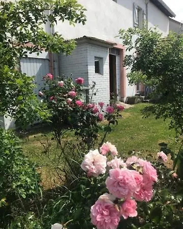 Daire Domaine La Bonne Dame - Hirondelle, Au Coeur Des Vosges *