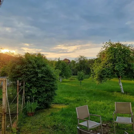 Daire Domaine La Bonne Dame - Hirondelle, Au Coeur Des Vosges *