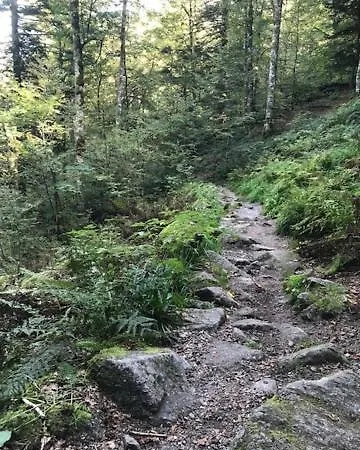 Domaine La Bonne Dame - Hirondelle, Au Coeur Des Vosges * Plainfaing