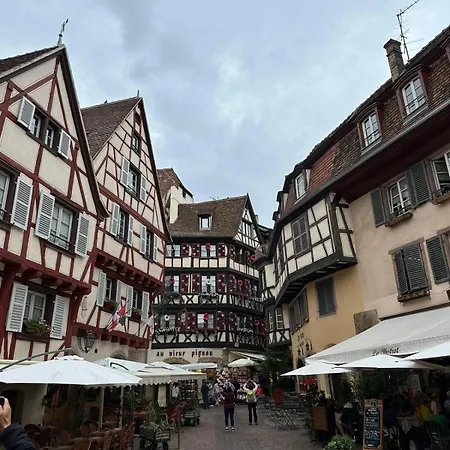 Domaine La Bonne Dame - Hirondelle, Au Coeur Des Vosges Apartment Plainfaing