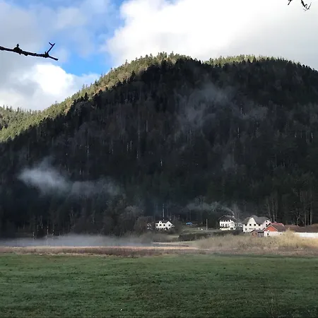 Domaine La Bonne Dame - Hirondelle, Au Coeur Des Vosges *