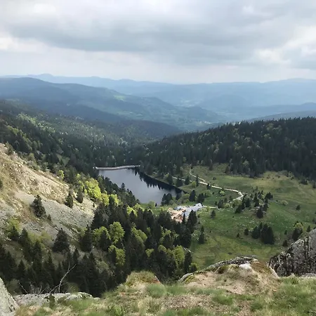 Domaine La Bonne Dame - Hirondelle, Au Coeur Des Vosges Apartment *