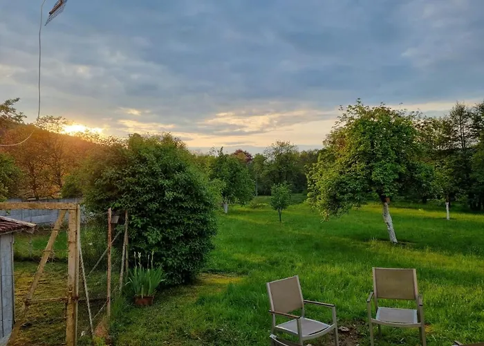 公寓 Domaine La Bonne Dame - Hirondelle, Au Coeur Des Vosges *