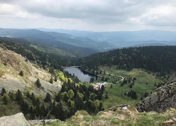 Domaine La Bonne Dame - Hirondelle, Au Coeur Des Vosges 公寓 *